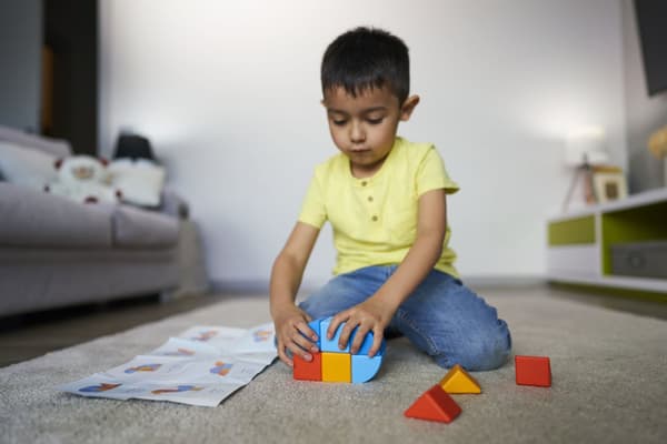 Magicube Djur 9 Delar Geomag