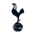 Miniatyrbild 1 av 2: Tottenham Hotspur FC 3D-kylskåpsmagnet