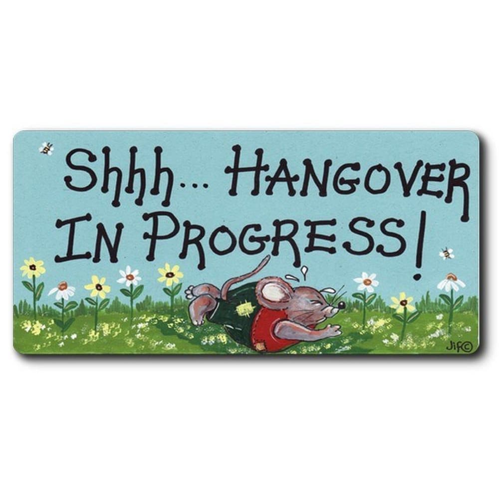 Something Different Shh Hangover Magnet