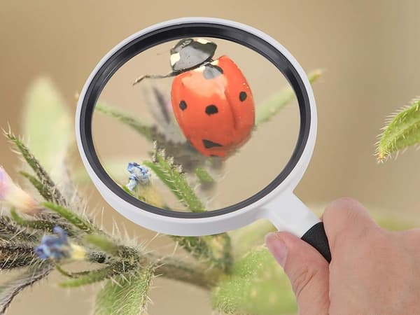 Förstoringsglas 95mm - Förstoring x3