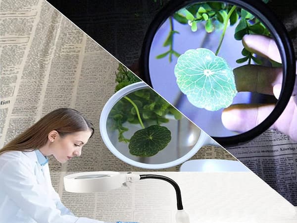 Skrivbordslampa / Förstoringsglas med Klämma - LED Bordslampa