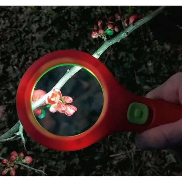 Moses Scribbler Förstoringsglas med Ljus 18 cm - Grön/Röd - För barn från 6 år och uppåt