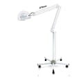 Miniatyrbillede 1 af 2: LED Forstørrelseslampe, 5x Forstørrelse, Justerbar Arm,HVID, 5X