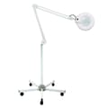 Miniatyrbillede 1 af 2: Forstørrelseslampe med justerbar stander, 5X forstørrelse, energieffektive 22W pærer,22W22W, Kold Hvid, HVID