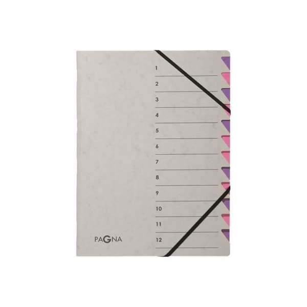 Pagna Easy Grey Sorter 12 fack 12 positioner A4 med lila flikar