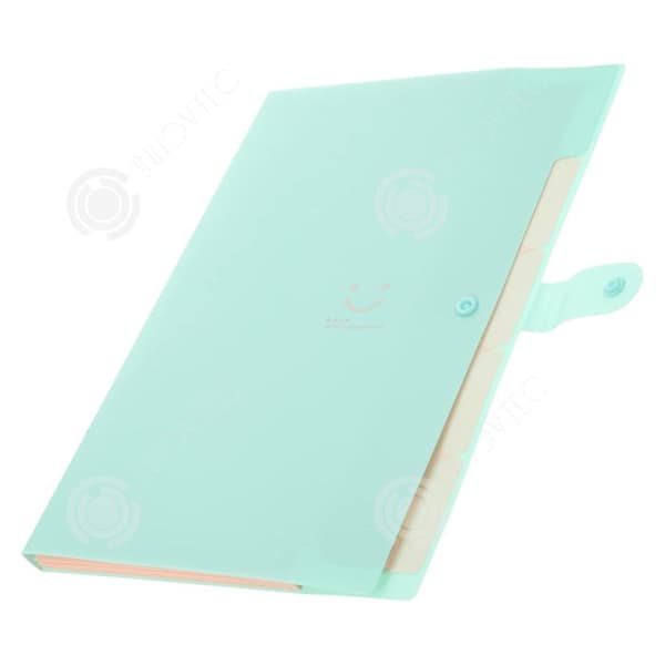 INN Dokumentsorterare 24x32,5cm dragspelsrep spänne mapp stor kapacitet information förvaringsväska A4 folder ver