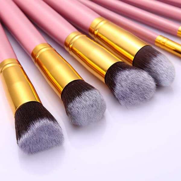 10x Professional Makeup Brushes
