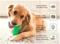 Miniatyrbild 3 av 8: Doggystick - den smarta Tandborsten för Hund- Grön
