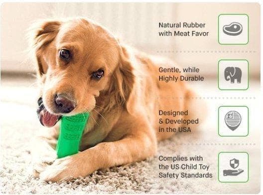 Doggystick - den smarta Tandborsten för Hund- Grön