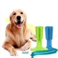 Miniatyrbild 6 av 8: Doggystick - den smarta Tandborsten för Hund- Grön