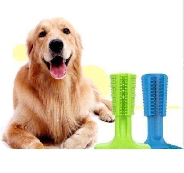 Doggystick - den smarta Tandborsten för Hund- Grön