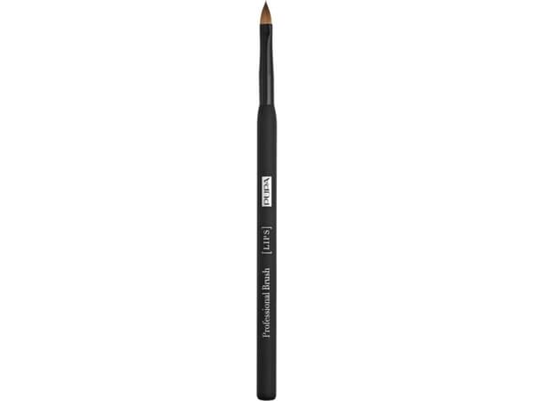 Lip Brush (Lip Brush)