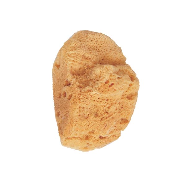 BETER natural marine bath sponges 1 pz
