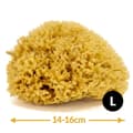 Miniatyrbillede 2 af 5: Badesvamp - naturligt hav - str. L. 14-16 cm