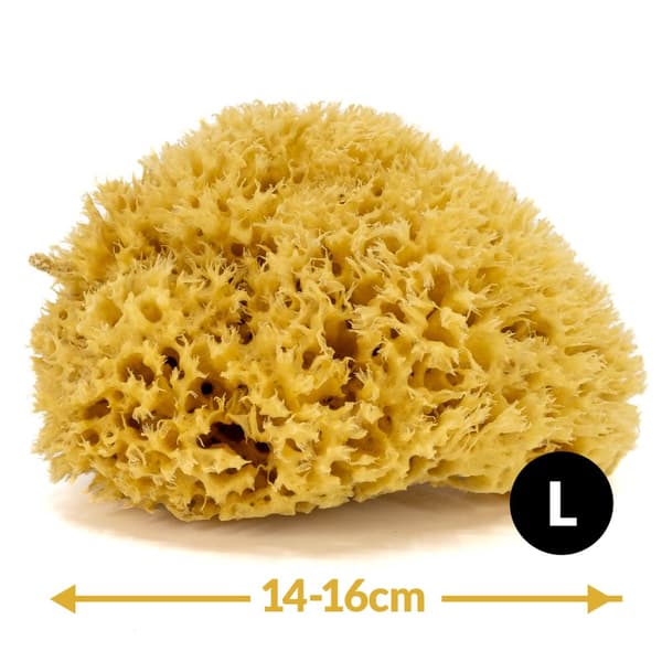 Badesvamp - naturligt hav - str. L. 14-16 cm