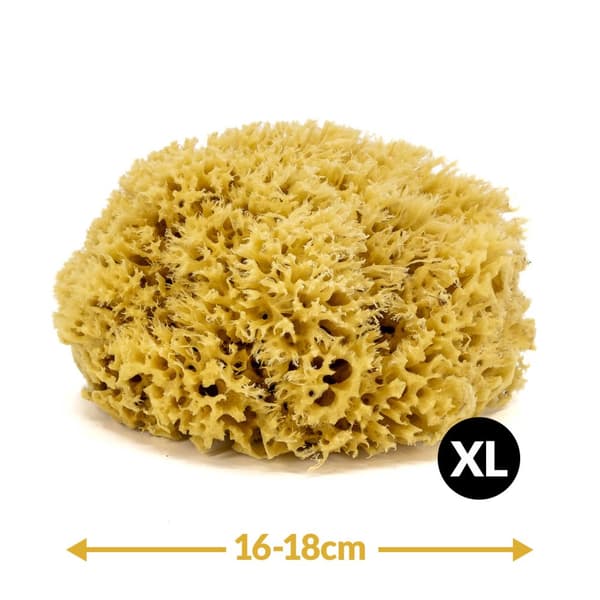 Badesvamp - naturligt hav - str. XL. 16-18 cm