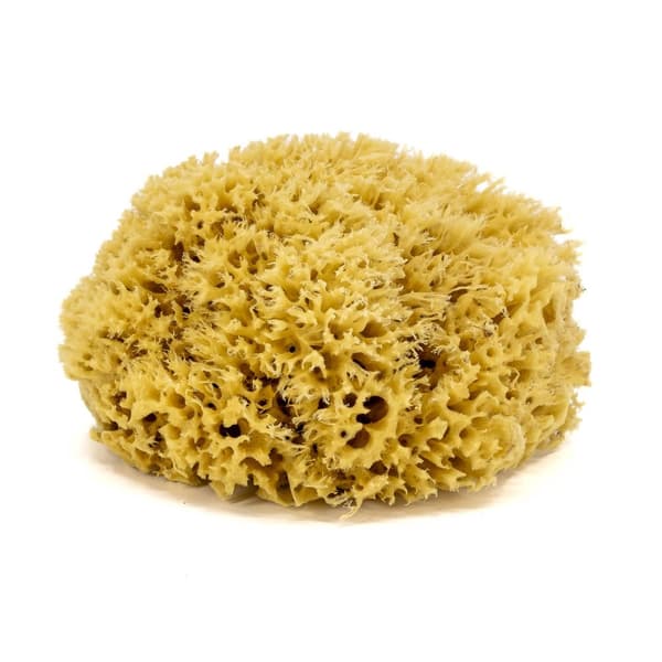 Badesvamp - naturligt hav - str. XL. 16-18 cm