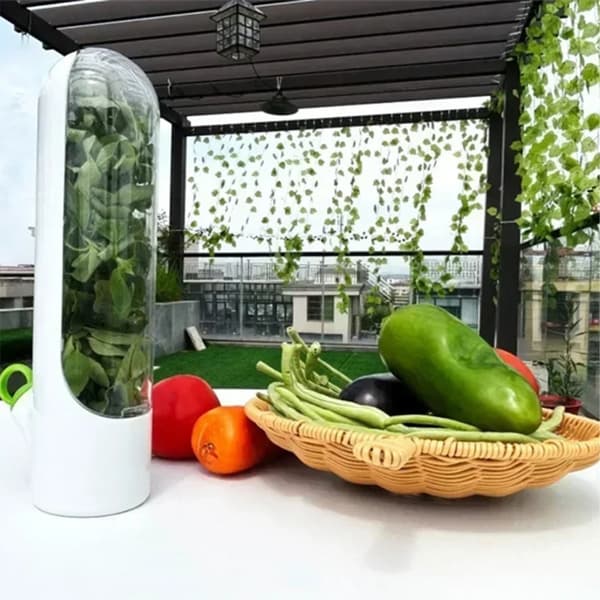 Køleskab Grøntsager Frisk Holde Container Planter Opbevaring