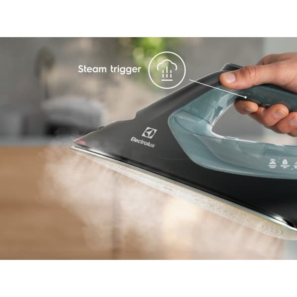Electrolux Renew 800 E8SI2-6OG strykjärn