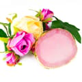 Miniatyrbild 2 av 4: Penselställ / blandningsyta / display - Cirkel - Rosa