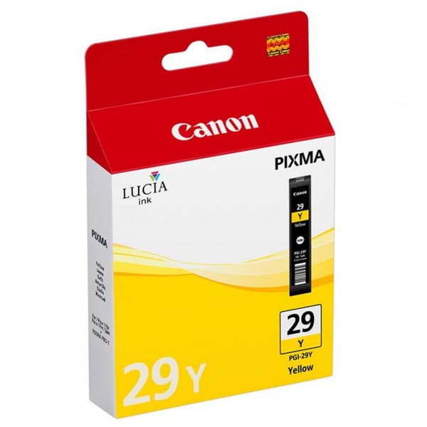 PGI-29 Y