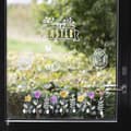 Miniatyrbild 7 av 7: Chalk markers - Starka Färger - Spets 1,2-3 mm - 5 st