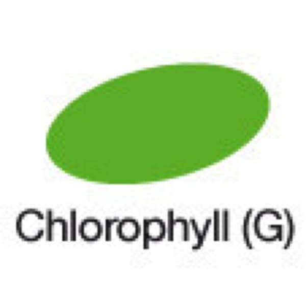 Alkoholmarkör - Graph'it - 8150 - Klorofyll - Dubbel spets - Opaque - 16 mm