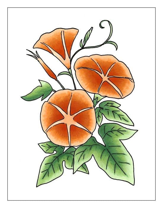 Markör - Copic tuschpenna - 082419 - 21075654, nr