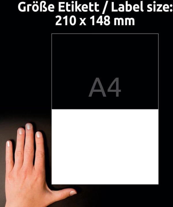Avery Zweckform 3655-200 etikett Vit rektangel Permanent 440 st.