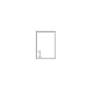 Avery - Gennemsigtige adresseetiketter - Gennemsigtige - A4 (210 x 297 mm) - 25 etiketter (25 ark x 1) - (J8567-25)