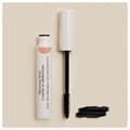 Miniatyrbild 2 av 4: Embryolisse Secret de Maquilleurs Curve and Definition Care Mascara