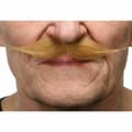 Miniatyrbild 1 av 3: Mustasch My Other Me Blont