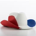 Miniatyrbillede 3 af 3: Hat
