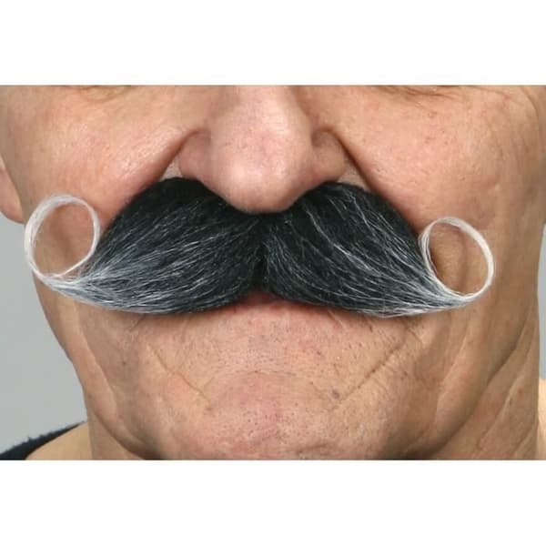 Kostym - Fransk mustasch med grått hår - Herr - Flerfärgad