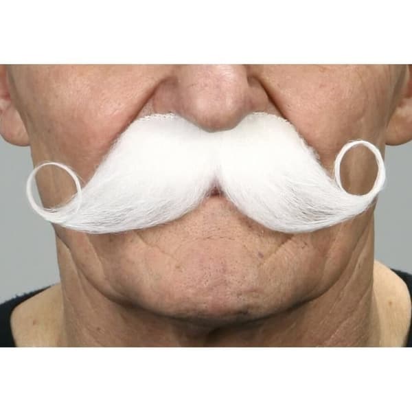 Vit fransk mustasch - Kostym - Herr - Flerfärgad - Inomhus