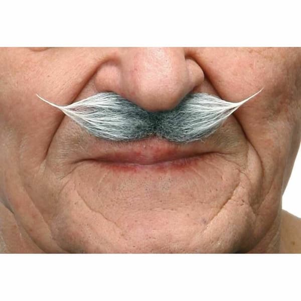 Mustasch My Other Me Grå Vit