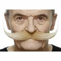 Miniatyrbild 1 av 2: Mustasch My Other Me Blont