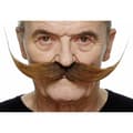 Miniatyrbild 1 av 3: Mustasch My Other Me One size Maskeraddräktsaccessoarer