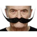 Miniatyrbild 2 av 4: Mustasch My Other Me One size Svart Maskeraddräktsaccessoarer