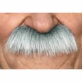 Miniatyrbild 1 av 4: Mustasch My Other Me Viving Costumes_202812 Maskeraddräktsaccessoarer