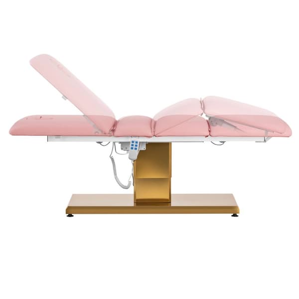 physa - Behandlingsbänk - 300 W - 150 kg - Rosa/guld