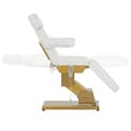 Miniatyrbild 4 av 4: Behandlingsbänk - Elektrisk - 200 kg - Vit / guld - Uppvärmningsbar - 3 motorer -