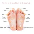 Miniatyrbild 4 av 4: ZBAMOOK Shiatsu Foot Massager - Lindrar smärta och förbättrar blodcirkulationen - Vit