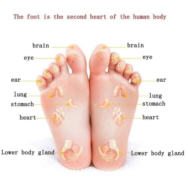 ZBAMOOK Shiatsu Foot Massager - Lindrar smärta och förbättrar blodcirkulationen - Vit