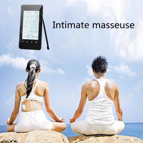TD® elektronisk massageapparat/28 läge Digital Meridian Fysioterapi/Elektronisk massageapparat/Shiatsu