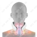 Miniatyrbild 3 av 4: TD® INN Cervical Massage Device Cervikal Kudde Nacke Vibration Kota Nackskydd Varmkompress elektrisk massageapparat