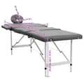 Miniatyrbild 9 av 9: vidaXL Massagebänk med 4 zoner aluminiumram antracit 186x68 cm