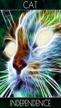 Miniatyrbild 3 av 11: Spirit Animal Oracle
