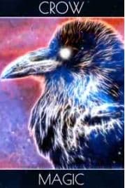 Spirit Animal Oracle