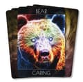 Miniatyrbild 7 av 11: Spirit Animal Oracle